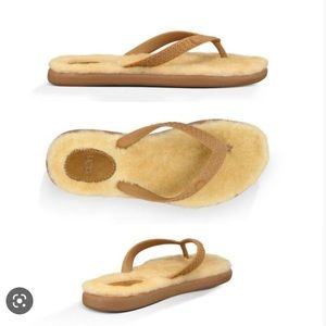 Ugg Chestnut Sheepskin Slippers / Flip Flops